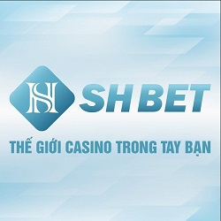 Logo SH16 Co